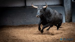Seis toros de Fuente Ymbro para hoy en Madrid