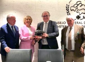 Baltasar Ibán recibe el premio al toro más bravo de San Isidro