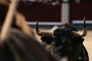 Cierre de temporada por todo lo alto en Las Ventas