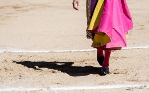 El Circuito de Andalucía busca novilleros para la edición 2025