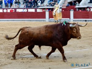 El primer vestido de torear del Maestro Paco Camino