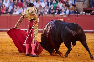 David de Miranda, el triunfo a golpe cantado en 2024