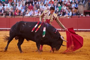 David de Miranda, el triunfo a golpe cantado en 2024