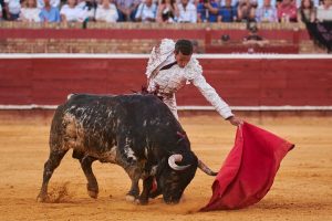 David de Miranda, el triunfo a golpe cantado en 2024