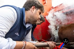 Jornada de herradero en la ganadería de José Luis Pereda