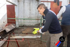 Jornada de herradero en la ganadería de José Luis Pereda