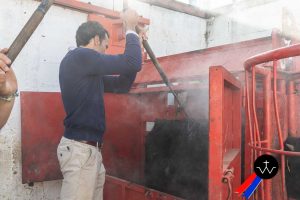 Jornada de herradero en la ganadería de José Luis Pereda