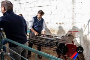 Jornada de herradero en la ganadería de José Luis Pereda