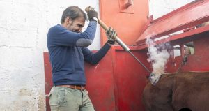 Jornada de herradero en la ganadería de José Luis Pereda