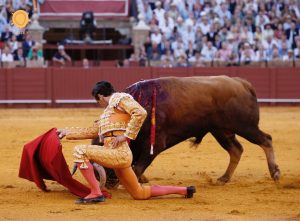 Juan Ortega se alza con el Memorial Manolo Vázquez