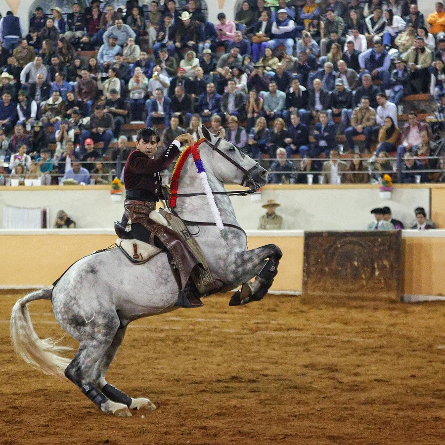 Interesante corrida en Provincia Juriquilla