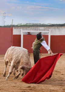 De Julia y Carretero, puesta a punto para el 2025