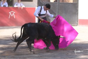 Tentadero de David Galván y Armillita en México