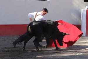 Tentadero de David Galván y Armillita en México