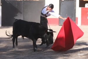 Tentadero de David Galván y Armillita en México