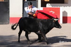 Tentadero de David Galván y Armillita en México