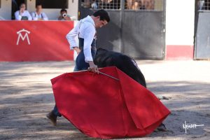 Tentadero de David Galván y Armillita en México