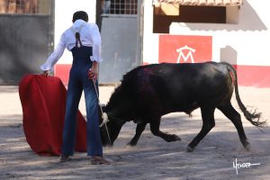 Tentadero de David Galván y Armillita en México