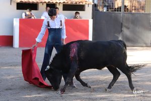 Tentadero de David Galván y Armillita en México