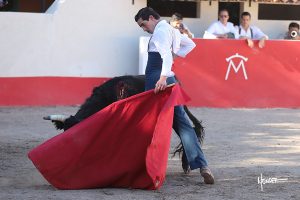 Tentadero de David Galván y Armillita en México