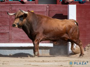 El lance de la larga cambiada