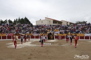 La ganadería de Juan Luis Fraile, baja en Ceret