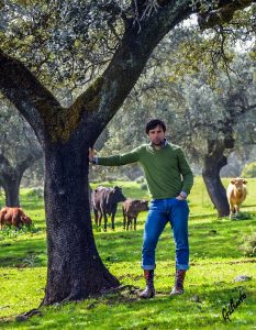 Andrés Romero, lesionado en su hombro derecho