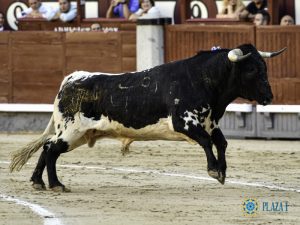 La gran tarde en solitario de Antonio Bienvenida en Madrid