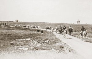 Se presenta en Sevilla un libro sobre el campo bravo