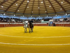 Extraordinaria 'Clase Práctica Solidaria' en El Bosque