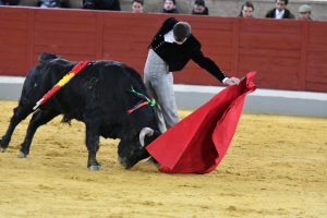 Álvaro Lorenzo y Montero destacan en Villaseca de la Sagra