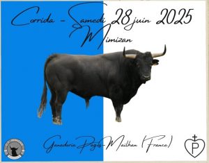 Mimizan define la ganadería para su corrida de Feria