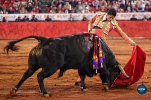 Diego San Román pasea la única oreja en La México