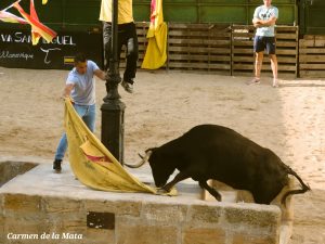 Las raíces de la Tauromaquia