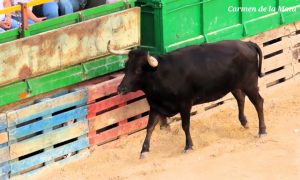 Las raíces de la Tauromaquia