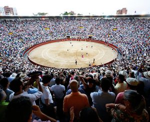 La llegada de la Empresa Pagés a la Real Maestranza de Sevilla