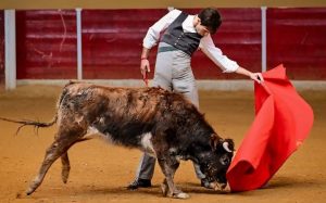 Fiesta campera fin de año de Samuel Navalón