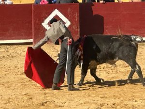 Gran triunfo de Iker de Virgilio en Vinaroz