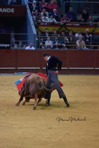 Madrid torea por Valencia y triunfa a lo grande