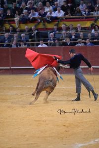 Madrid torea por Valencia y triunfa a lo grande
