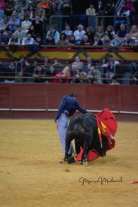 Madrid torea por Valencia y triunfa a lo grande