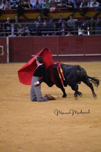 Madrid torea por Valencia y triunfa a lo grande