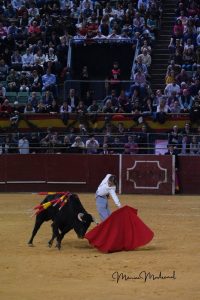 Madrid torea por Valencia y triunfa a lo grande