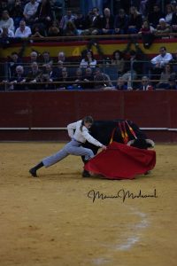 Madrid torea por Valencia y triunfa a lo grande
