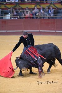 Madrid torea por Valencia y triunfa a lo grande