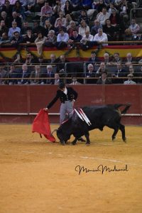 Madrid torea por Valencia y triunfa a lo grande