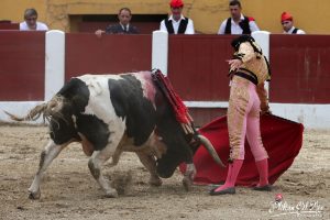 Miguel Andrades, a las puertas de la alternativa