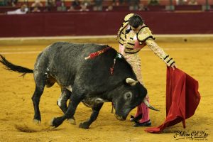 Miguel Andrades, a las puertas de la alternativa