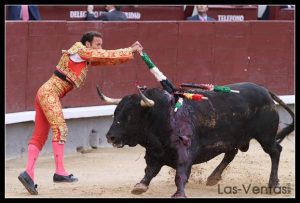 La historia de la bernadina