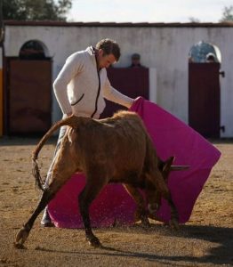 Clemente, puesta a punto en el campo bravo